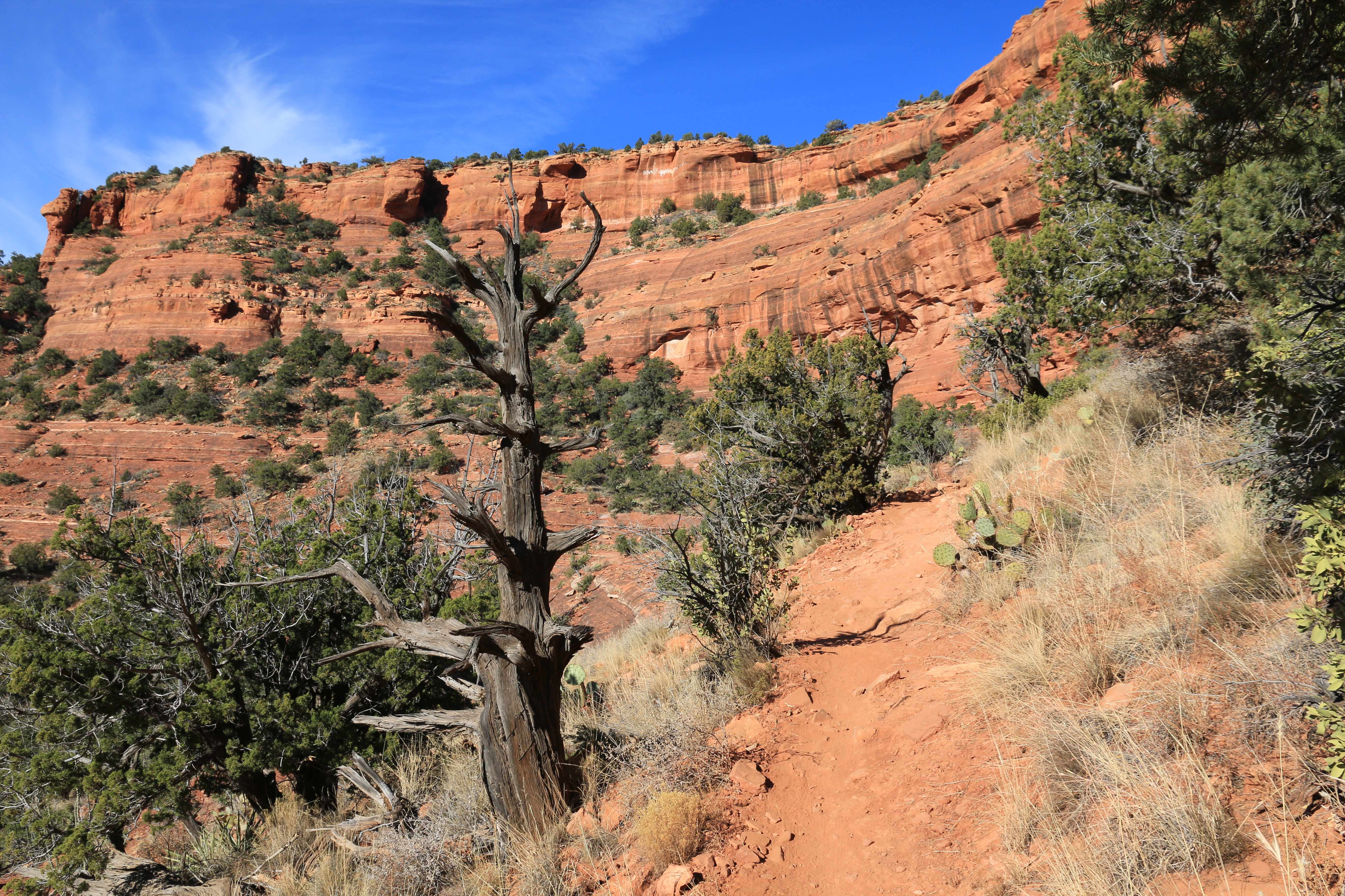 Sedona